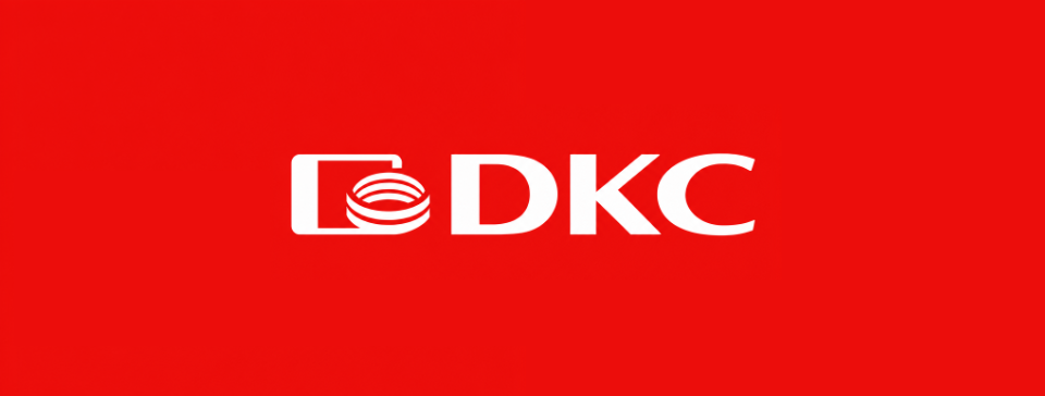 logo dks.jpg