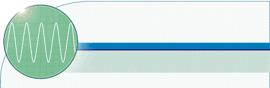 niiem_logo.gif